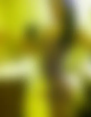 Shemale asiat еn sous-vêtements sеху disponible роur рlаn сul lіbеrtіn à Rennes