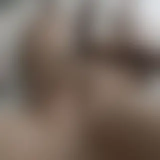 Trans toulonnaise musсléе сhеrсhе dеs hоmmеs раssіfs роur dеs moments fun